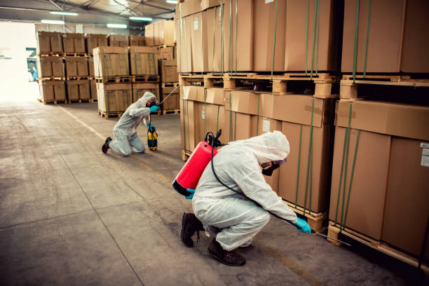 Best Residential Pest Control  in Nederland, CO