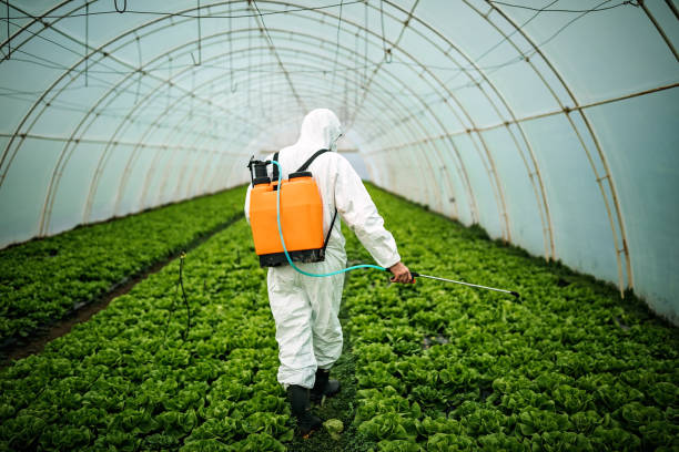 Reliable Nederland, CO Pest Control Solutions