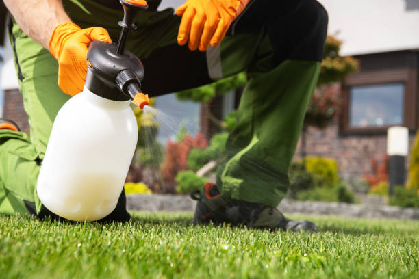 Best Pest Prevention Services  in Nederland, CO
