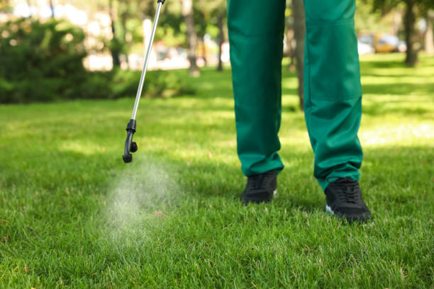 Best Mosquito Control Services  in Nederland, CO