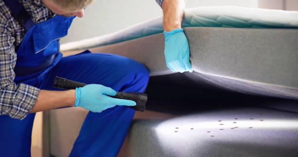 Best Affordable Pest Control Services  in Nederland, CO