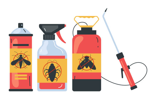Best Insect Control  in Nederland, CO
