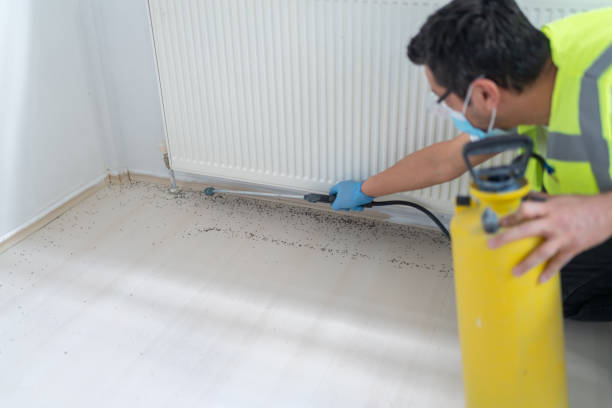 Best Cockroach Control Services  in Nederland, CO